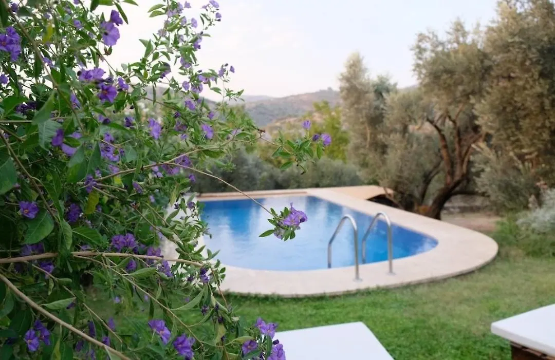 Pearl Of Izmir Villa Selcuk